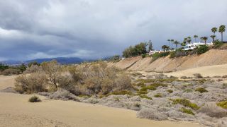 2023-GC--Mapalomas dunas-S123-032.jpg